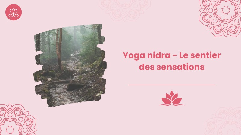 Jour 16. Yoga nidra - Le sentier des sensations avec Stéphane Lachance